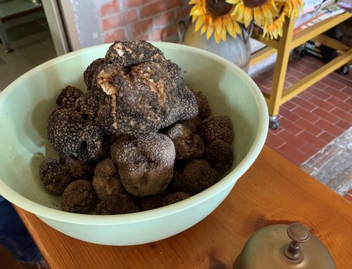 Selezionati i due centri di raccolta della Consulta del Tartufo di Parma e Piacenza