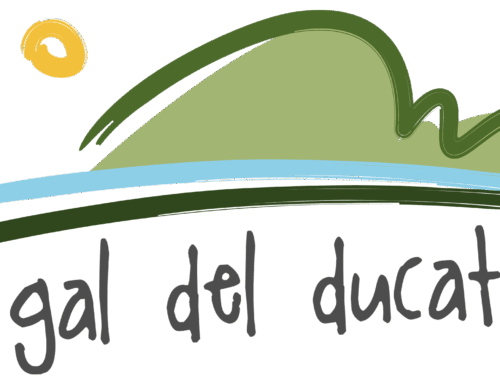 AVVISO PUBBLICO DU_SRE04 START UP NON AGRICOLE – INDICAZIONI OPERATIVE TRACCIABILITA’ FATTURE ELETTRONICHE