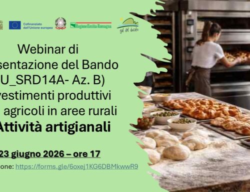 Martedì 23 giugno 2026 ore 17: Webinar di presentazione del Bando per imprese artigiane